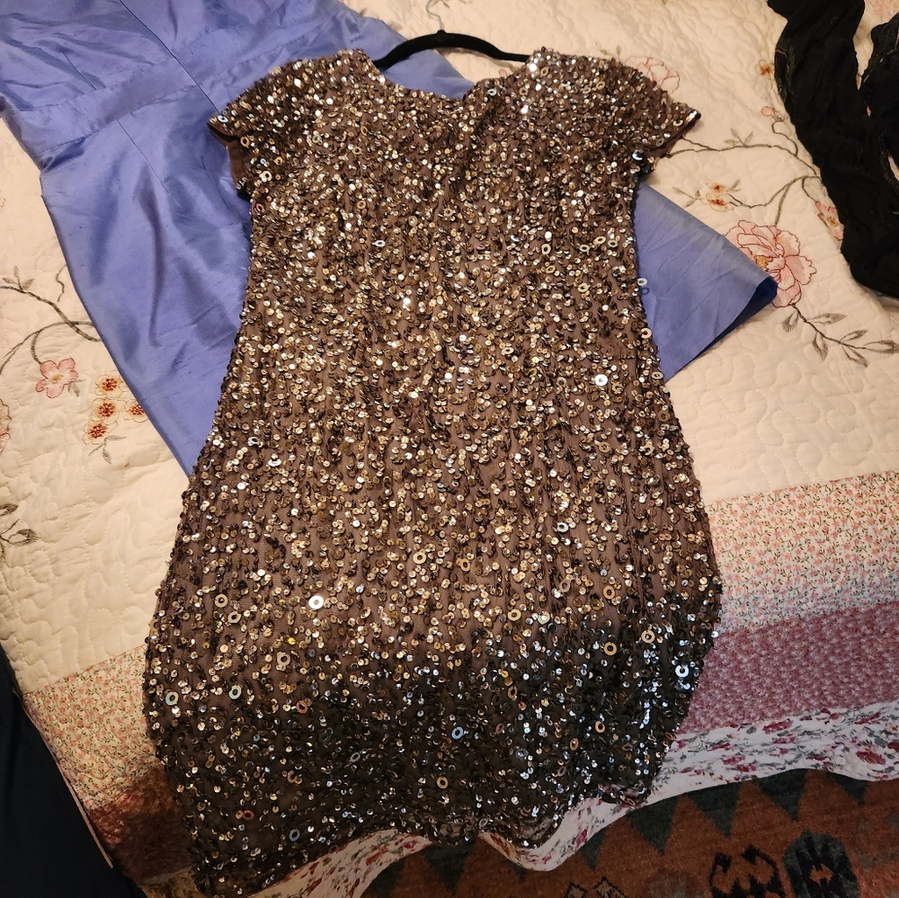 Adrianna Papell Silver Sequin Dress